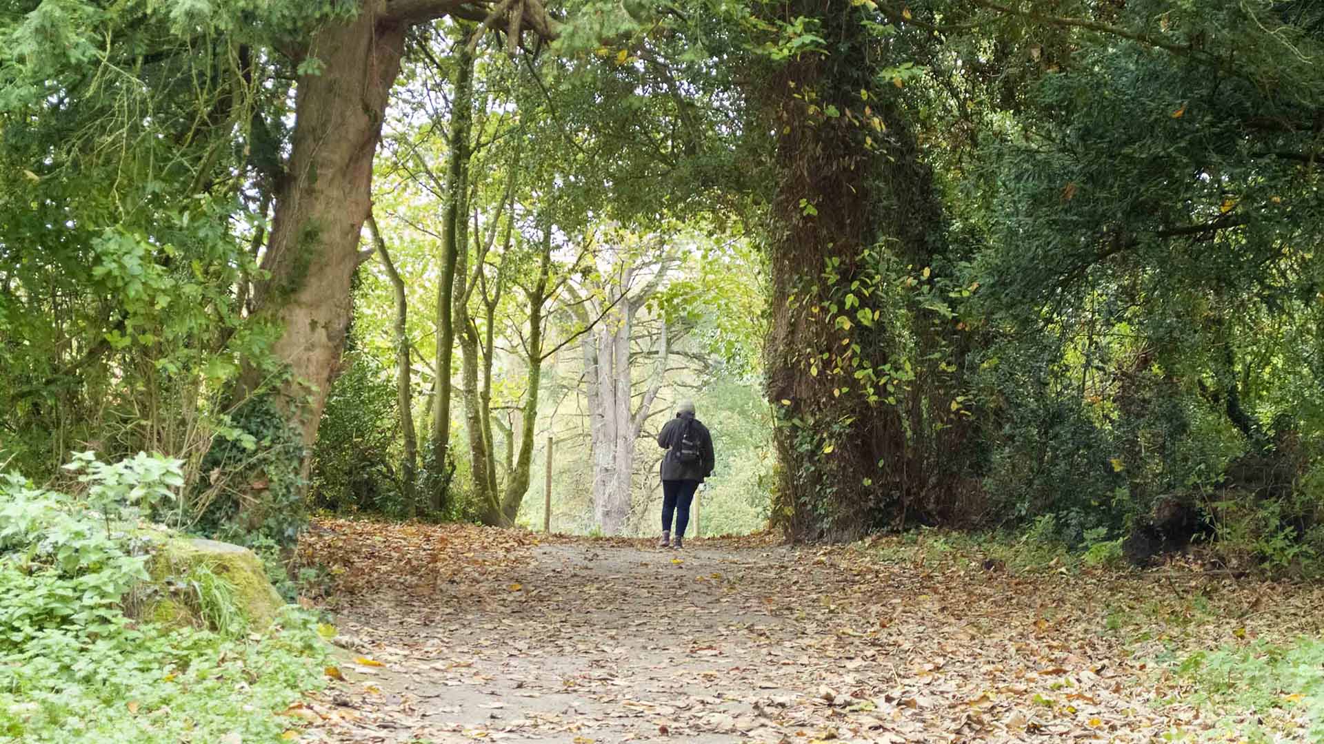 Donerail Park Co Cork Ireland