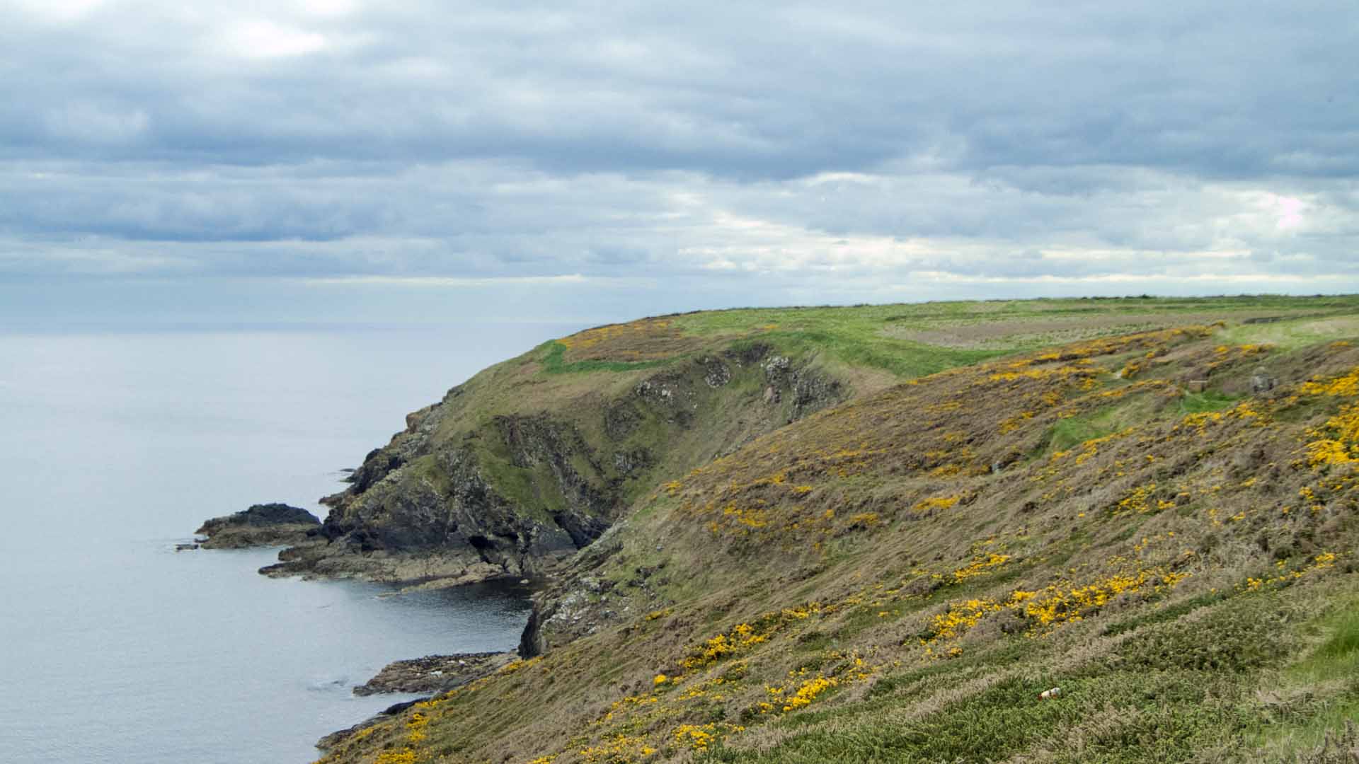 Ardmore Cliff Walk