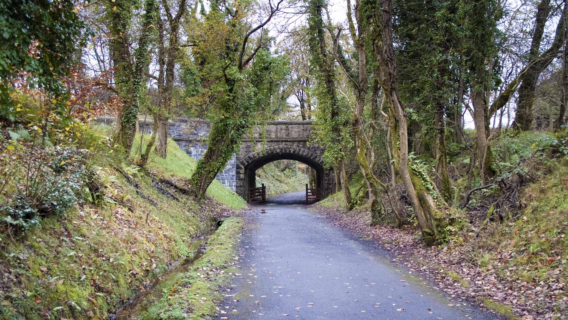 Mayo Greenway