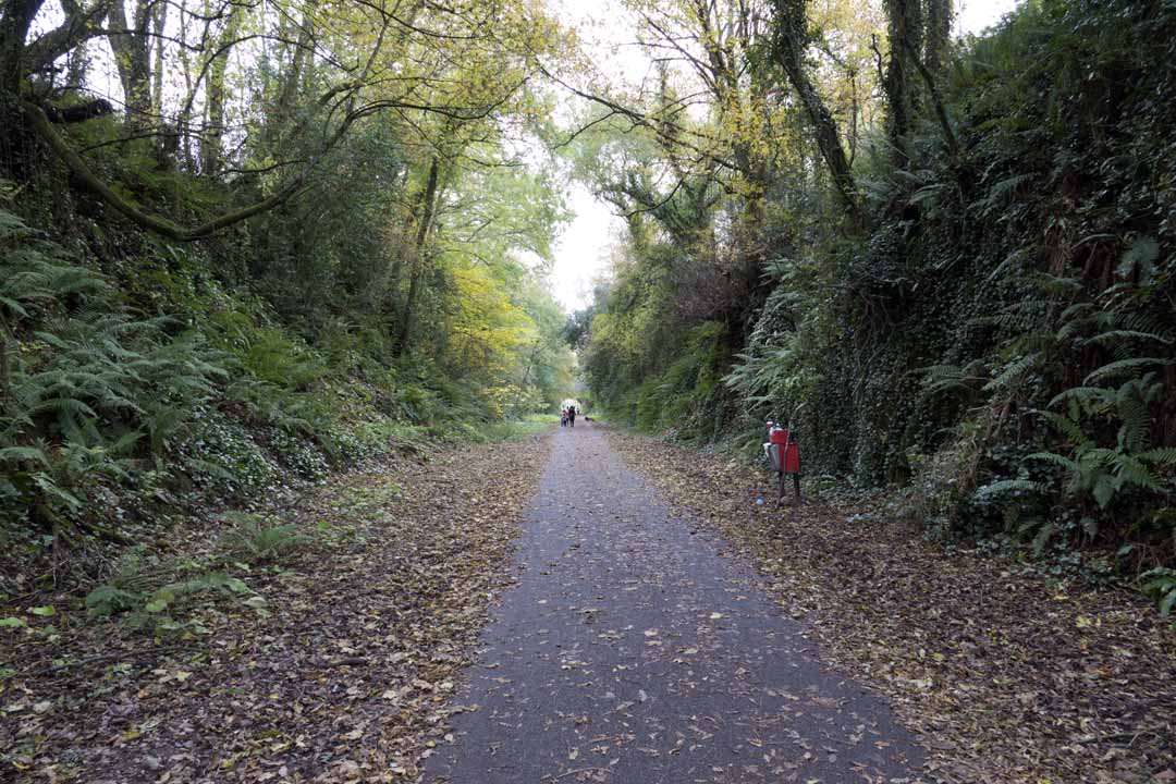 The looped walk from Blackrock Castle along parts of the old rail