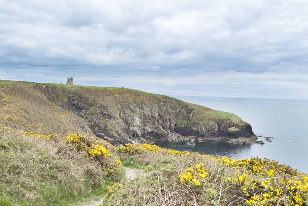 Ardmore Cliff Walk with watchtower in view.