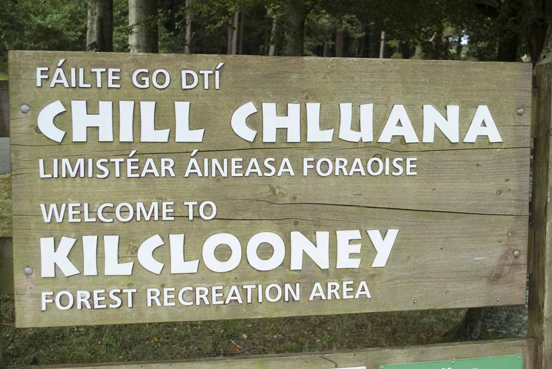 Kilcolooney wood signpost