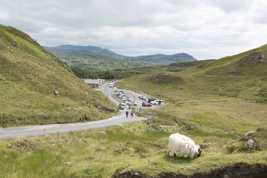 Way up to the Sliabh Liag Cliff Walk with sheep in foreground.