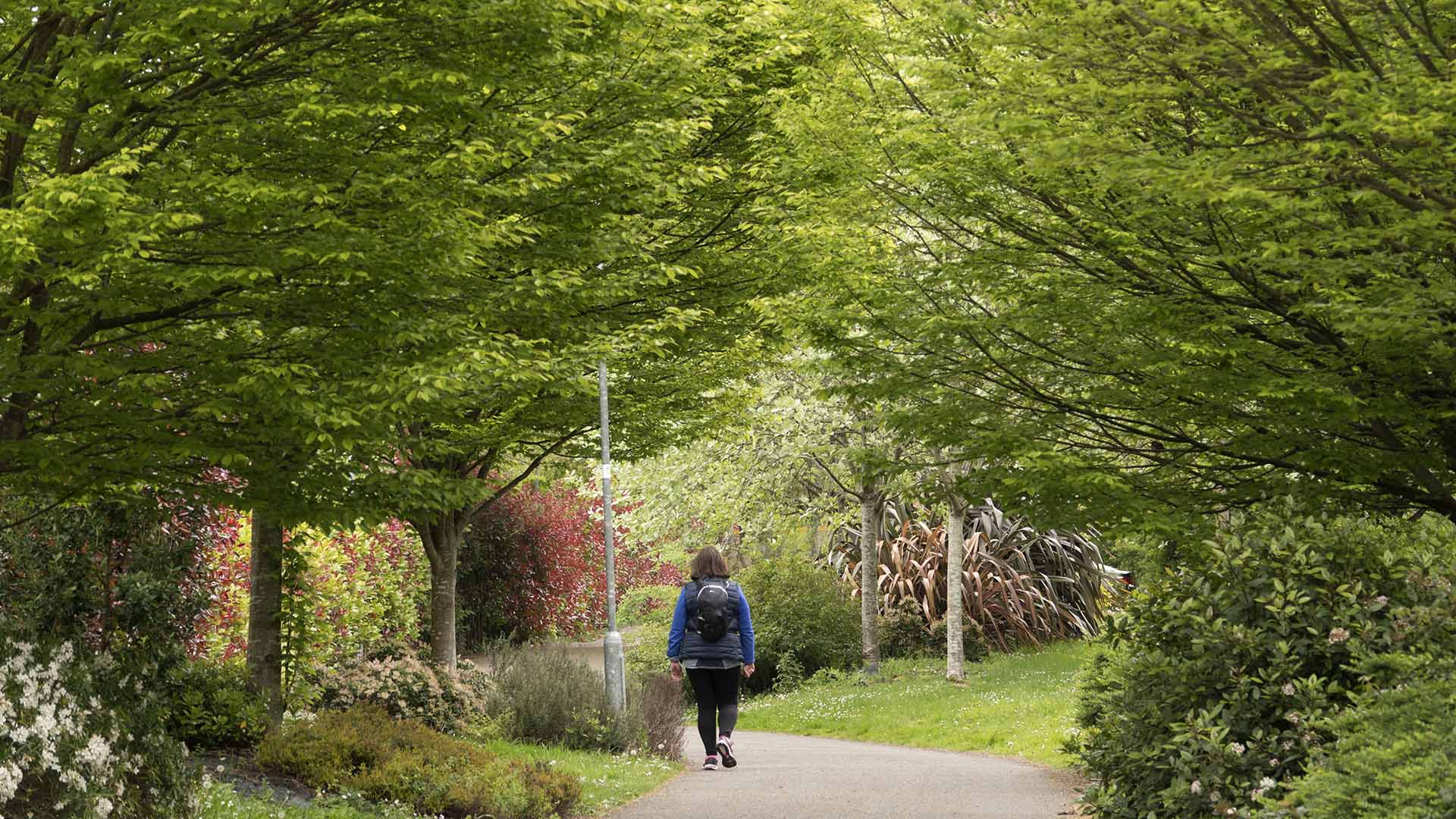 The trail of the Cork Harbour Greenway Ireland