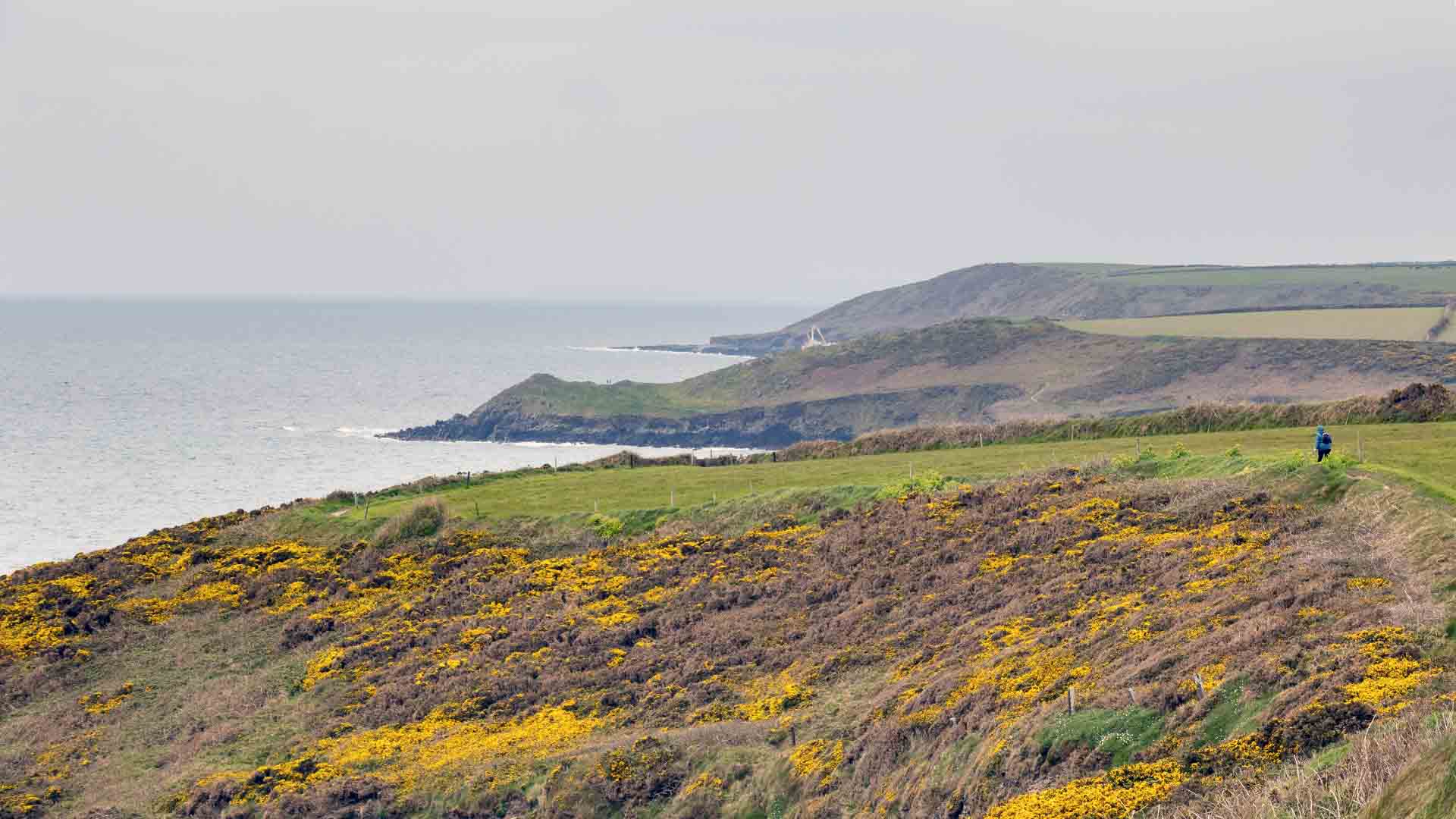 Ballycotton