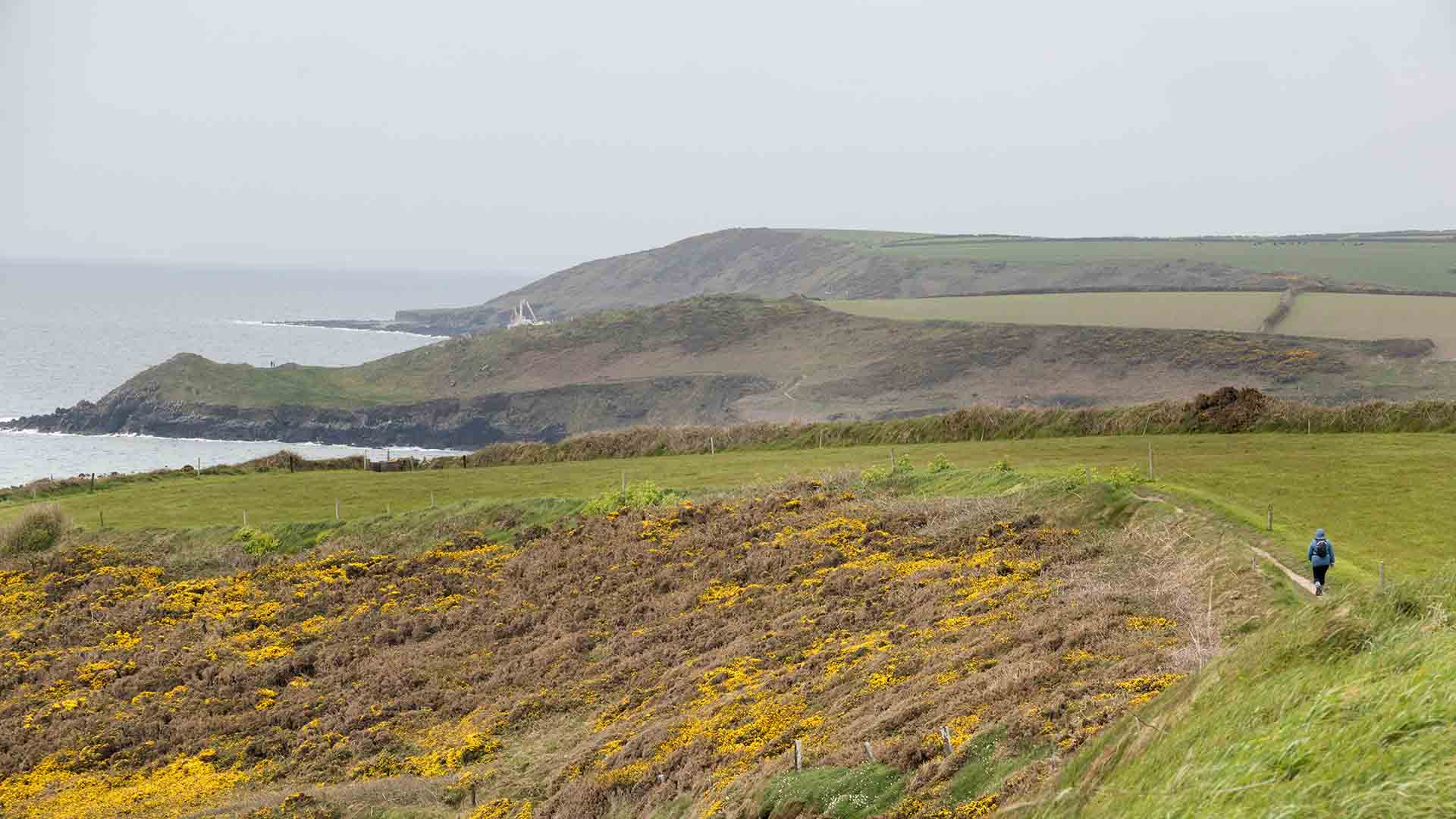 Ballycotton Cliff Walk Cork