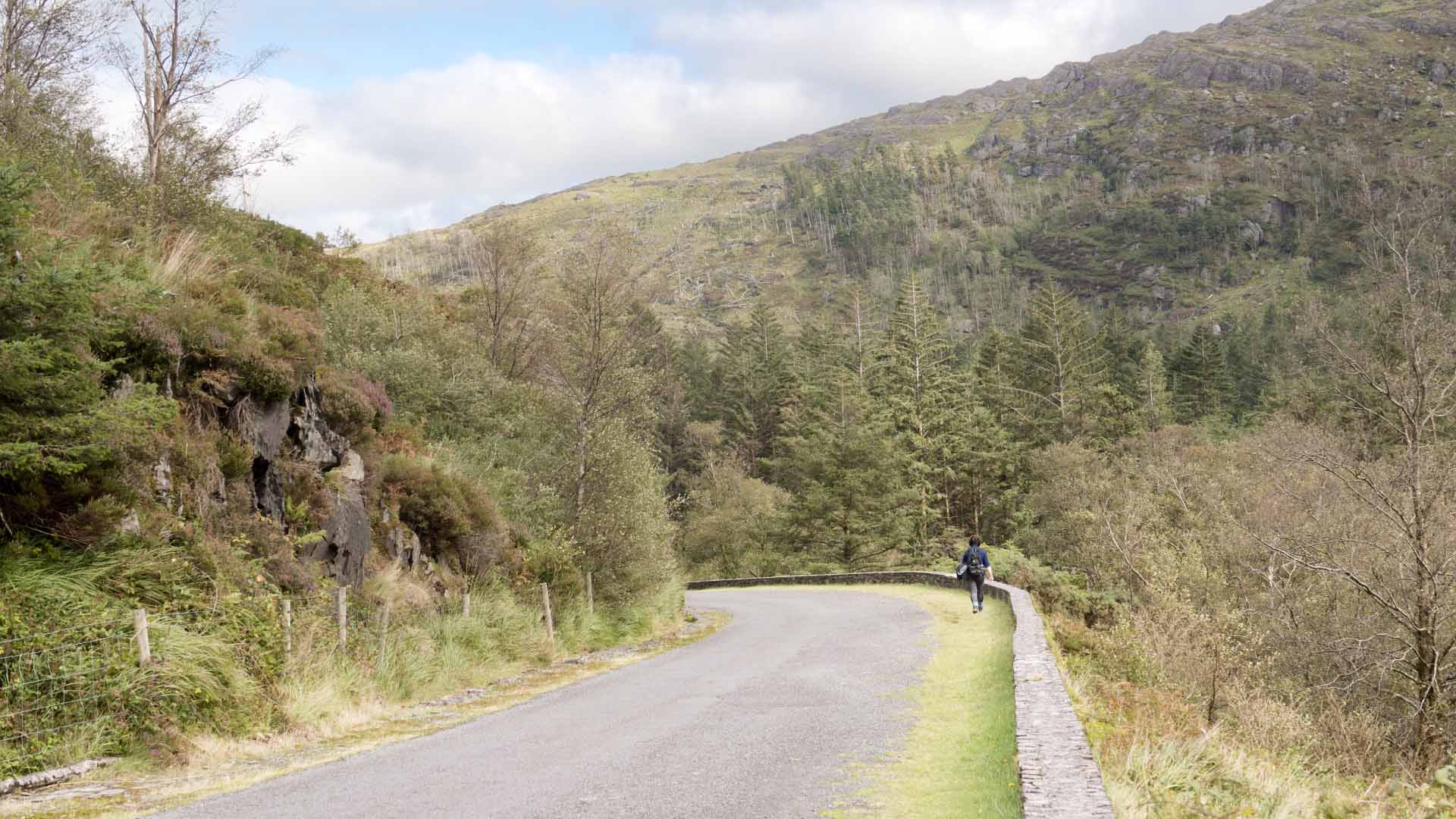 Gougane Barra Forest Park