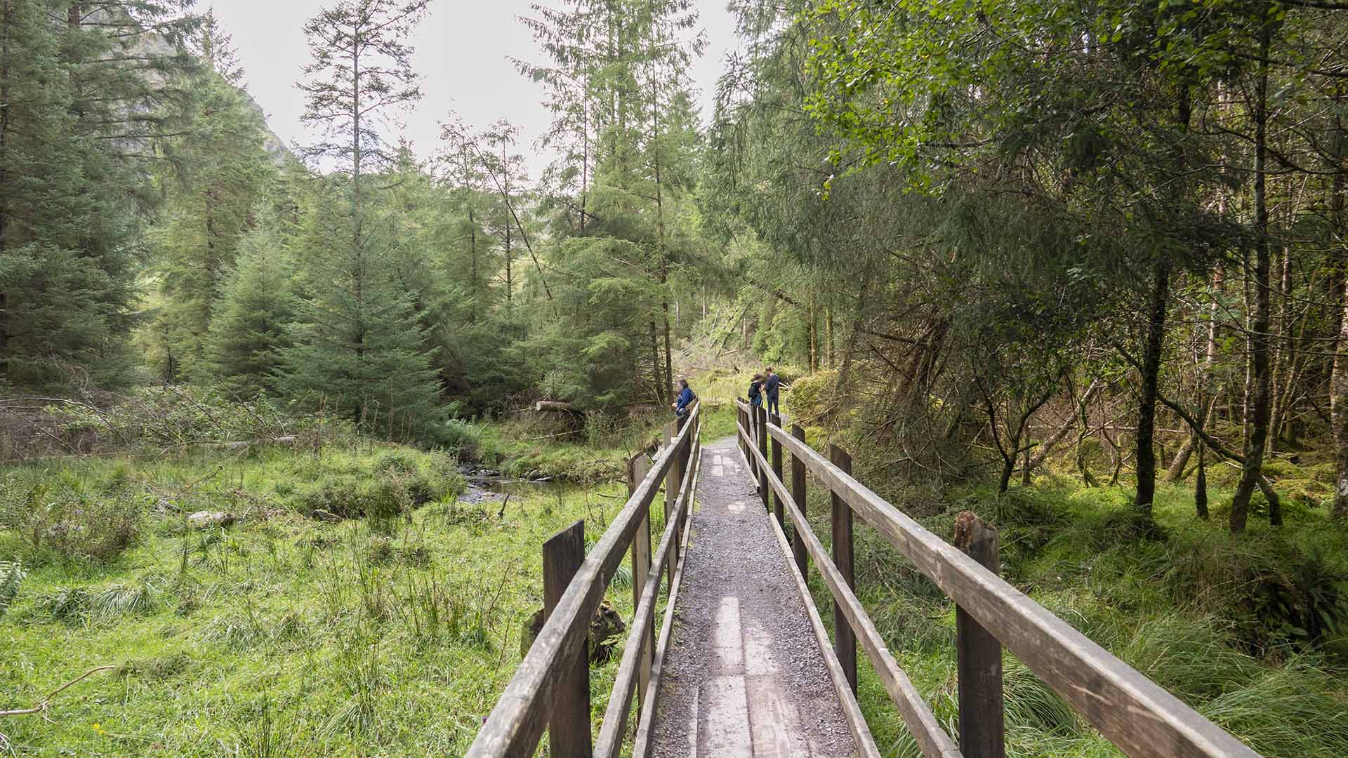 a wooden bridge with a railing and people walking on it