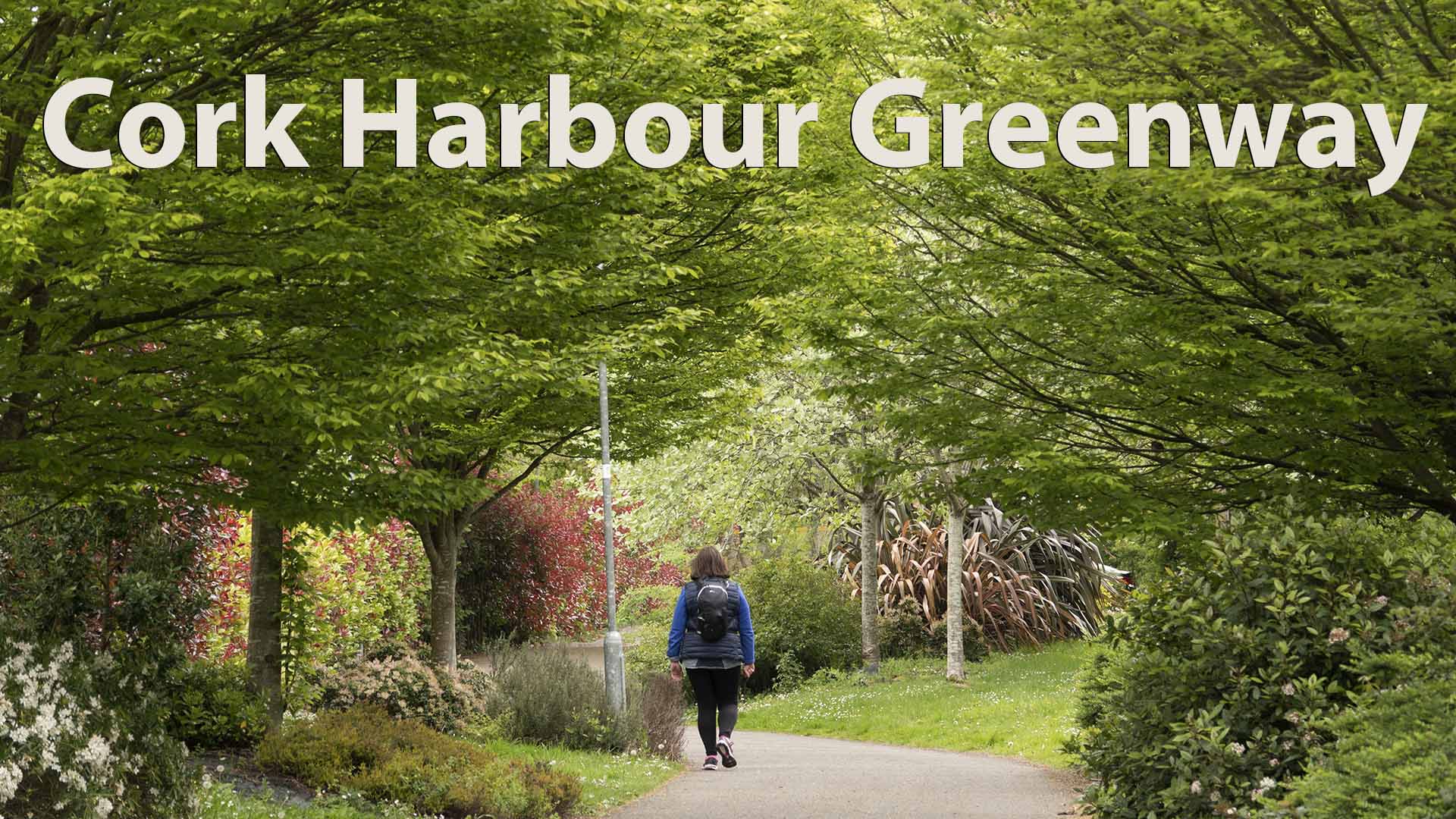 a woman walking down a path with trees and bushes