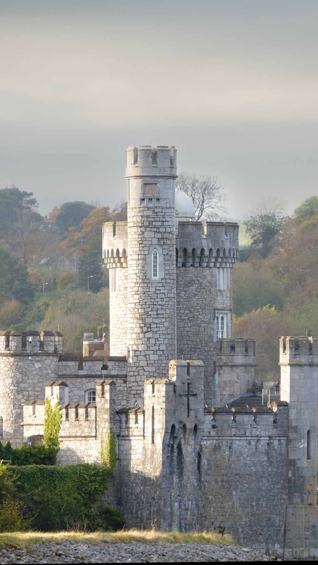 a castle with a tower