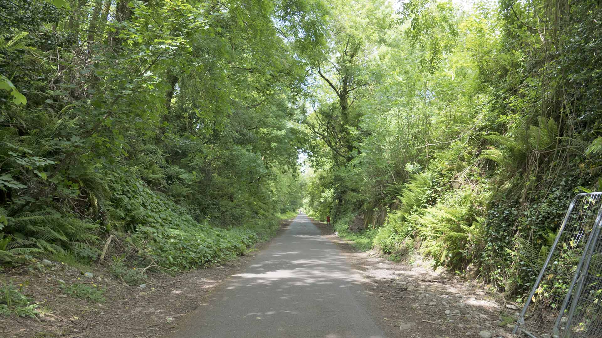 Blackrock loop part of the Cork harbour Greenway