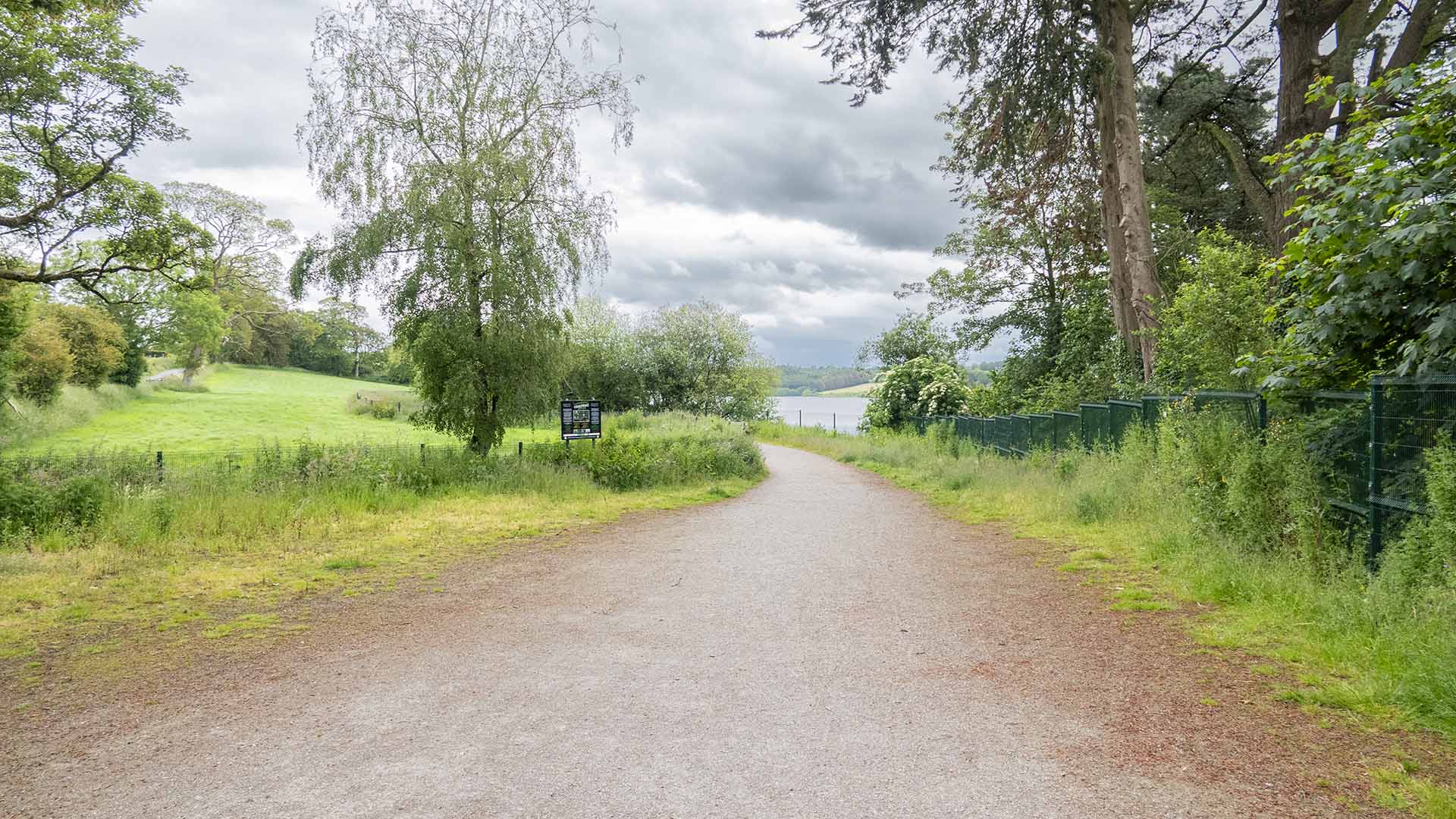 a path with trees and a body of water