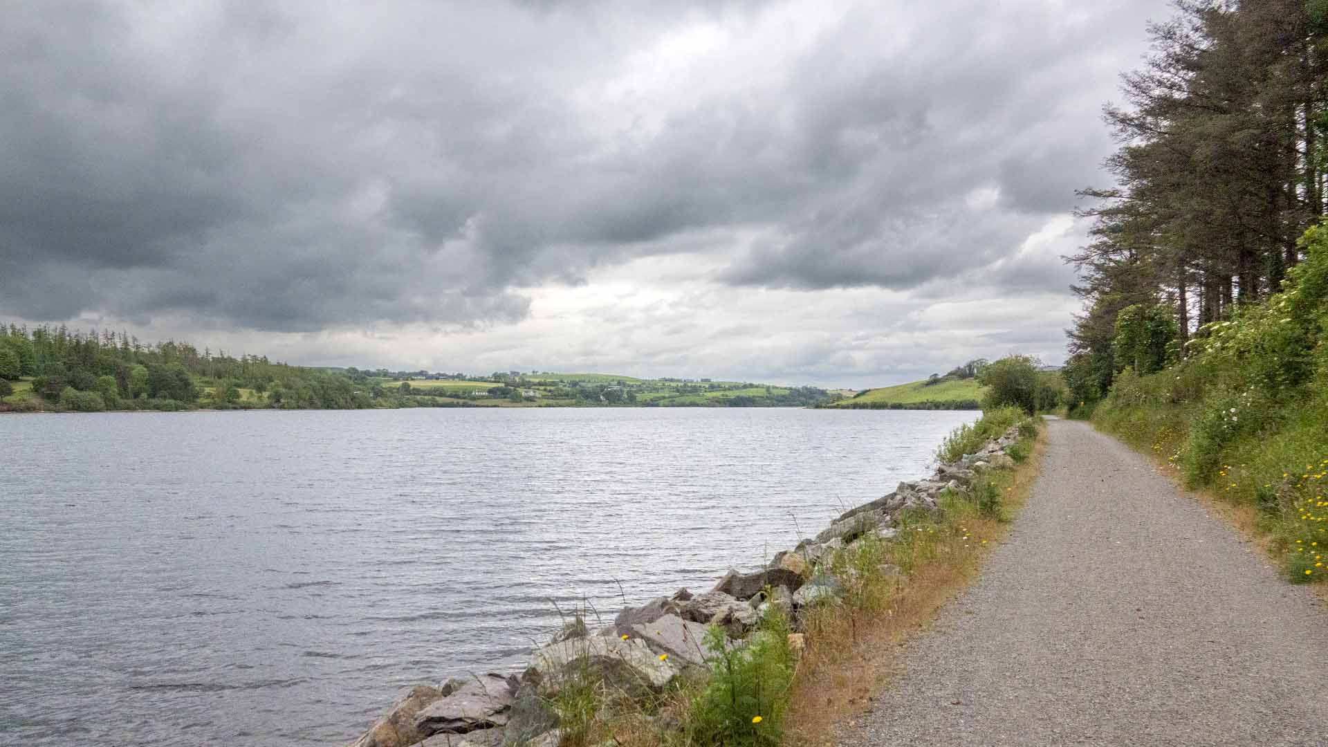 a path with trees and a body of water