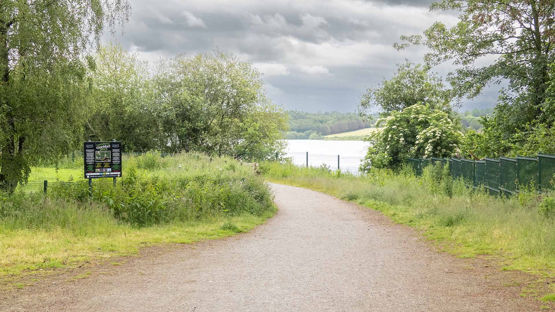 a path with trees and a body of water