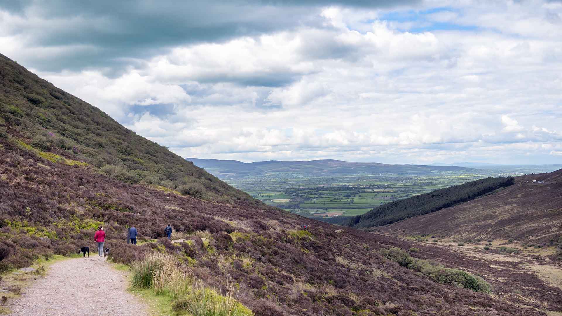 People enjoying The Vee Ireland