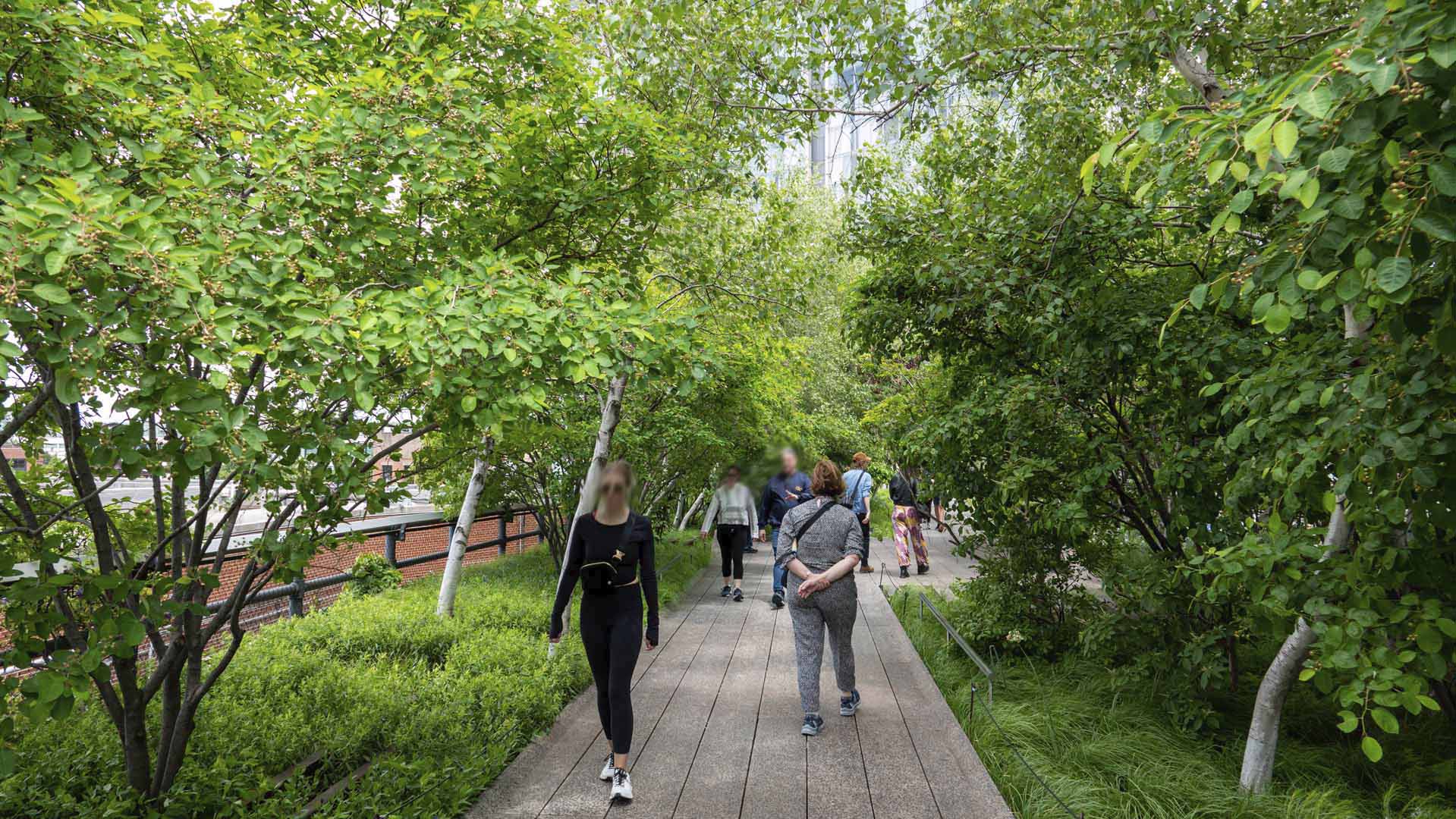 High Line Walk New York USA