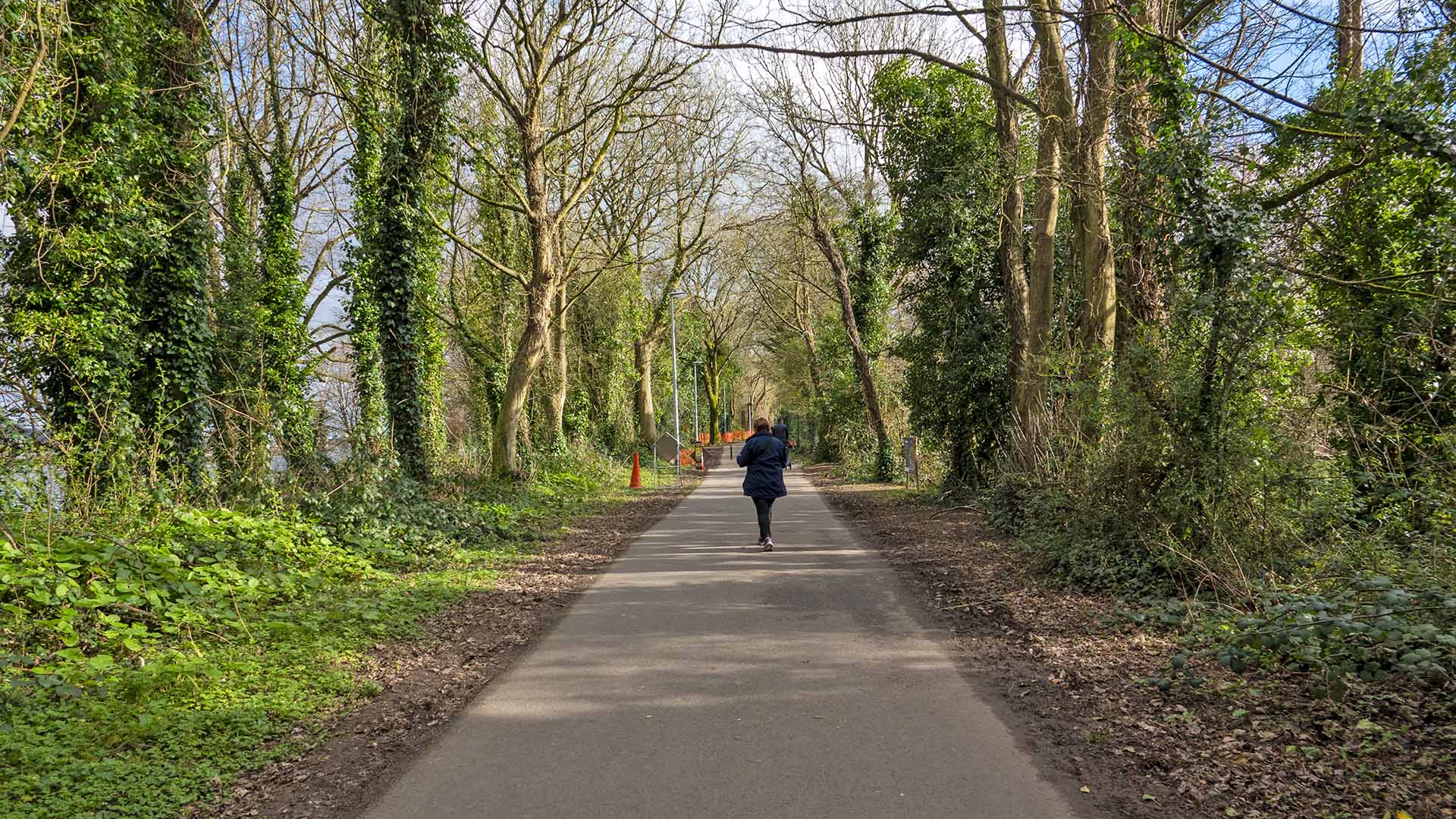 Blackrock Castle Loop