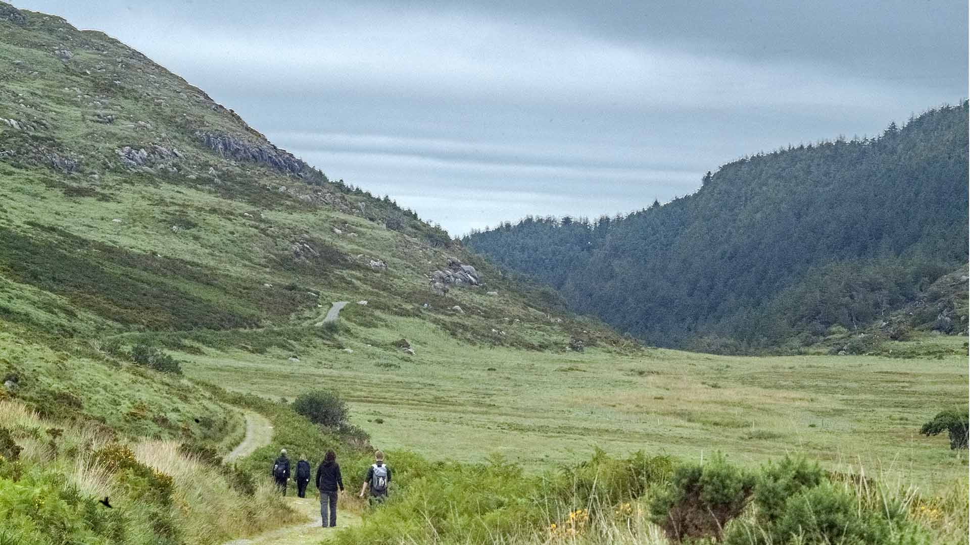 a group of people walking on a path in a grassy area