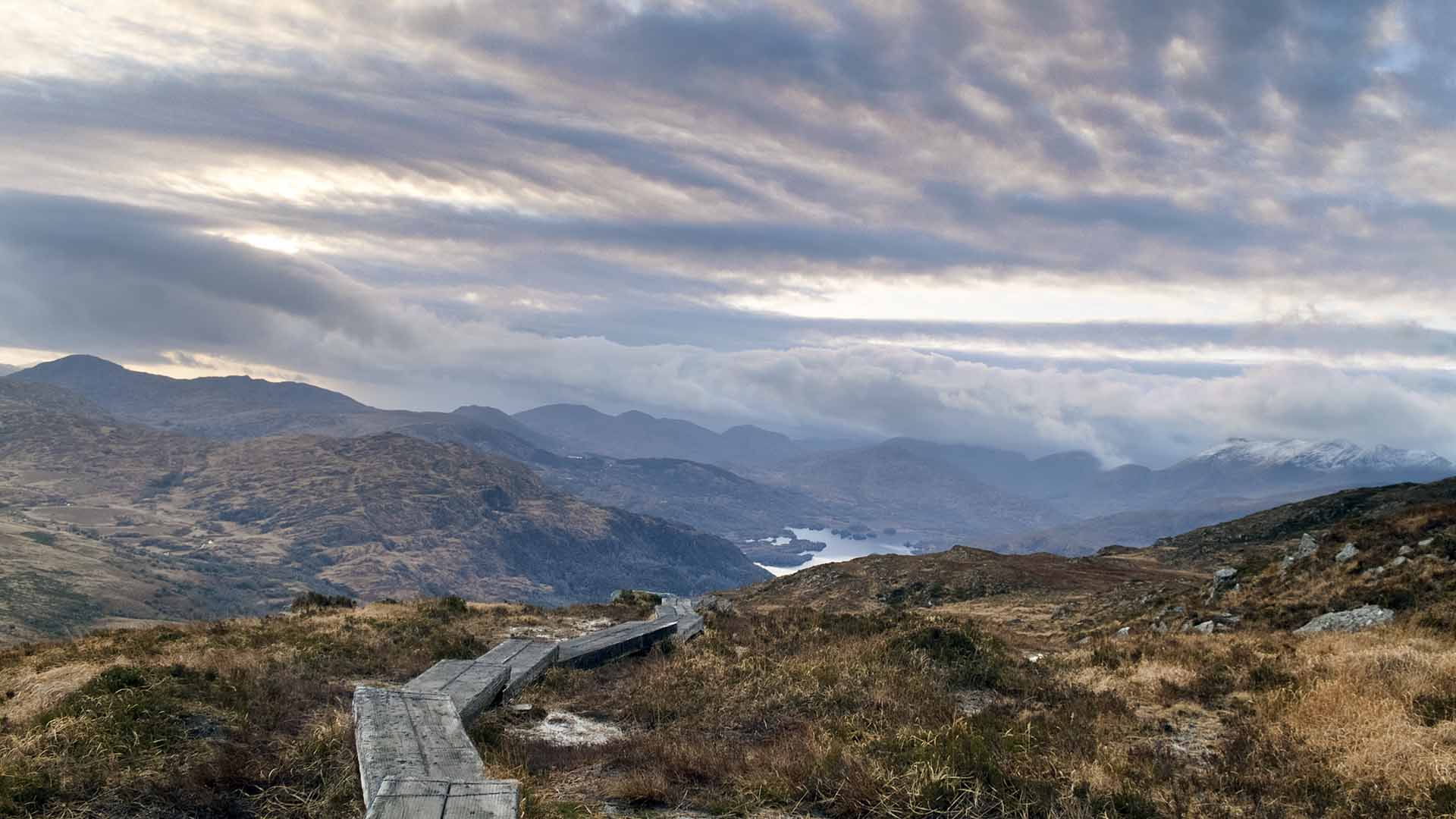 a wooden path leading to a lake