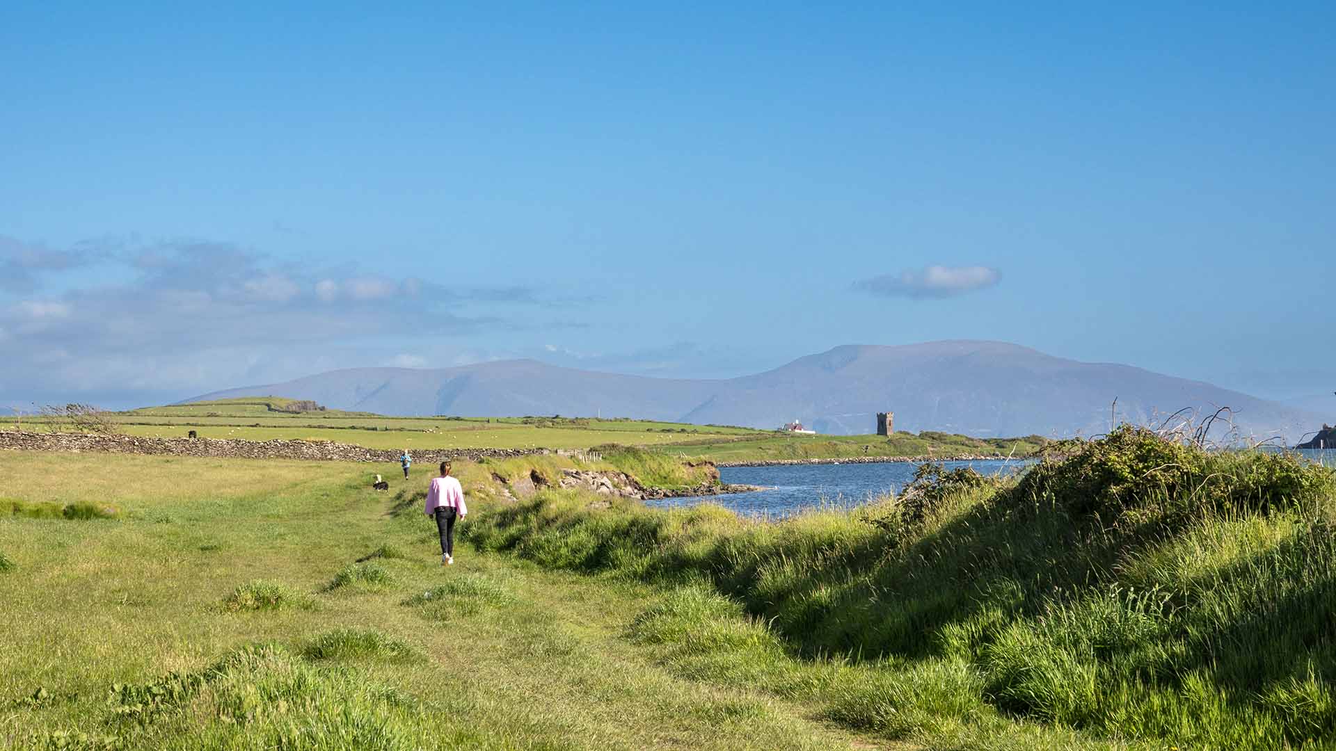 Dingle Lighthouse Walk