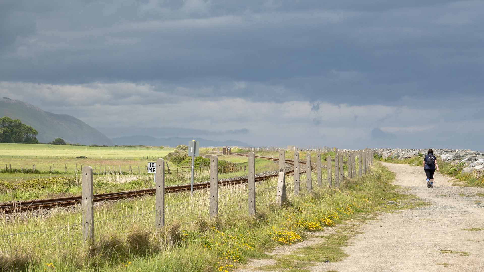 The trail on Kilcoole to Greystones coast walk Wicklow