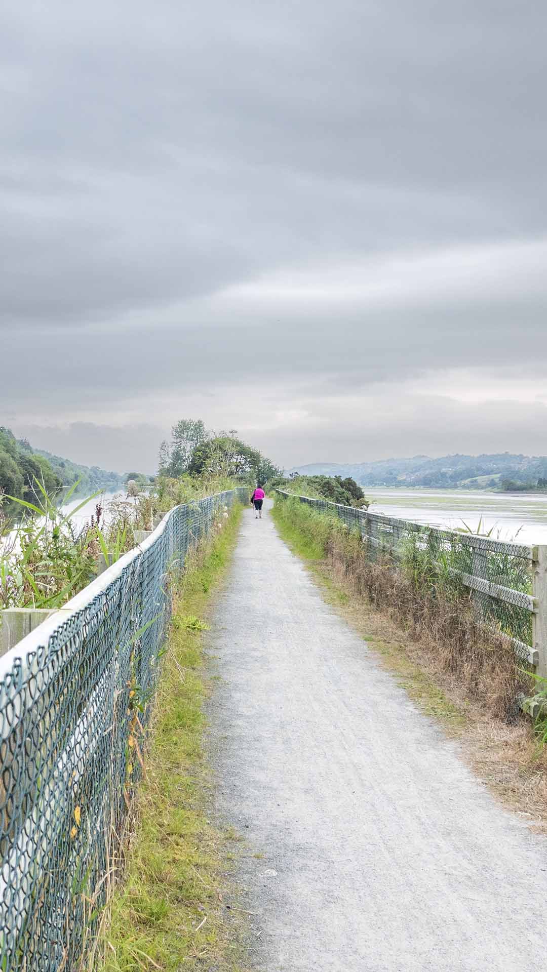 a person walking on a path by a body of water