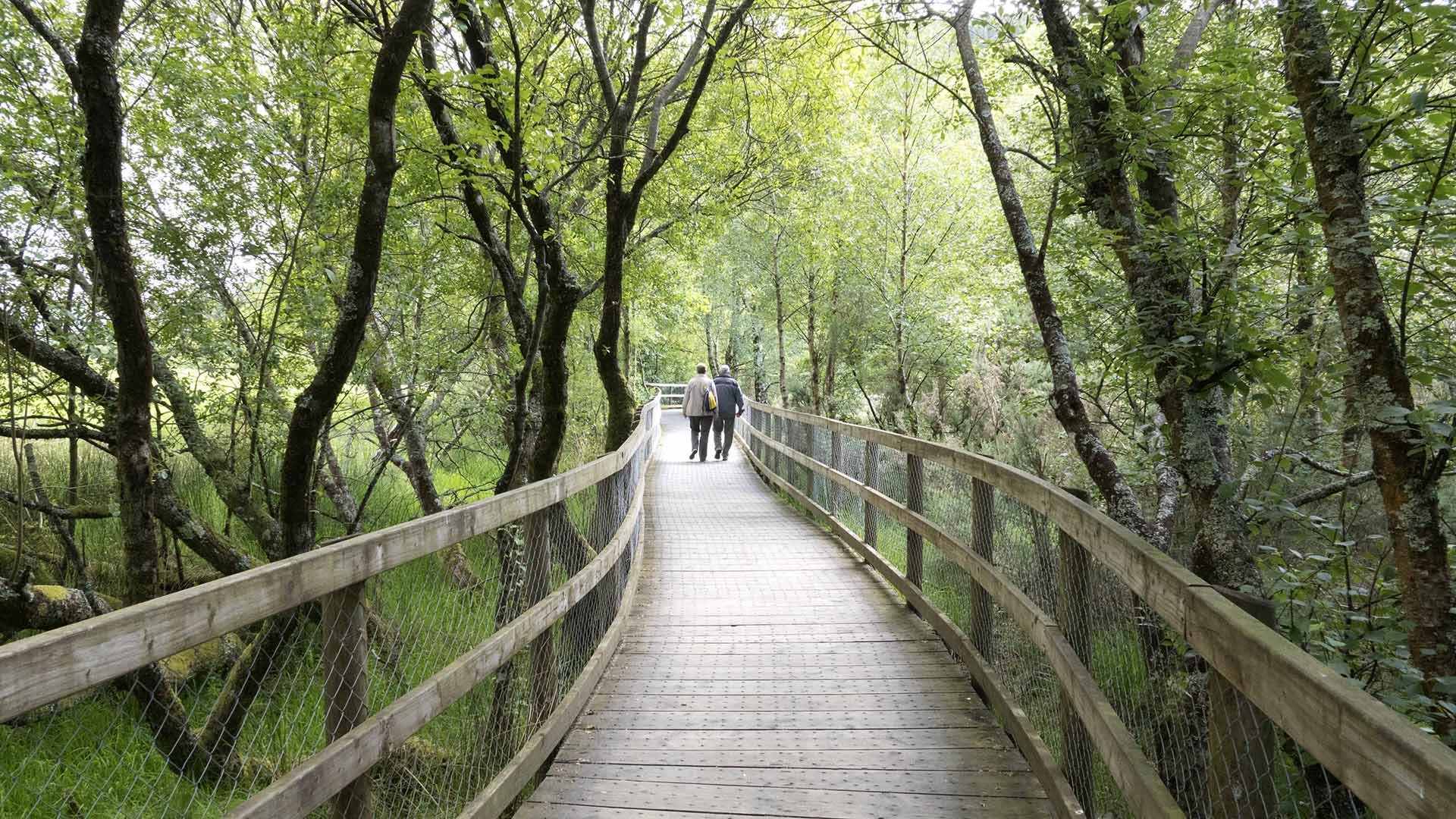 Glendalough Wicklow Ireland