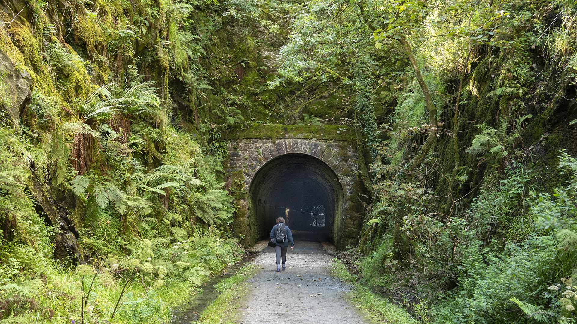 Barnagh Tunnel Limerick Greenw