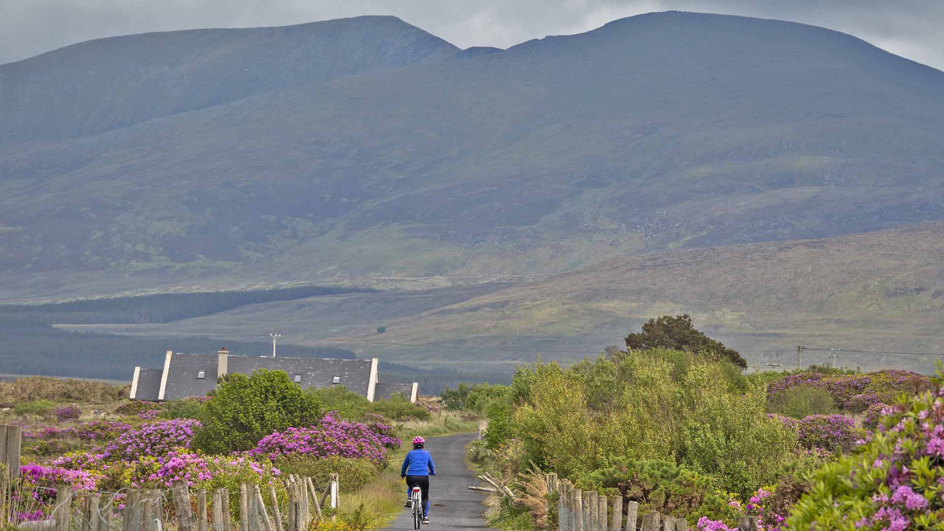 a person riding a bicycle on a road with mountains in the background