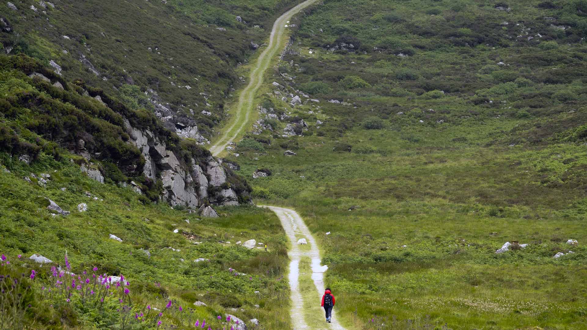 Duhallow Trail Shrone Lake