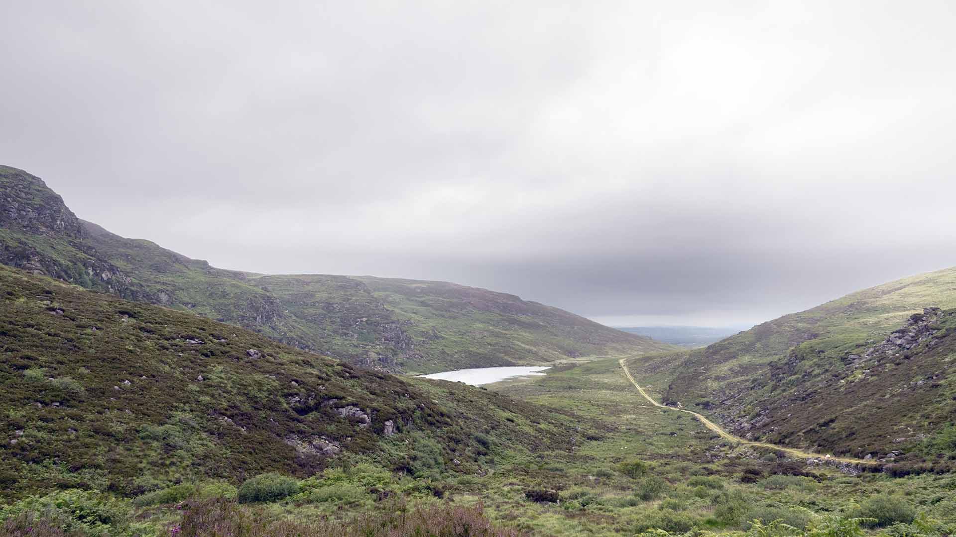 Duhallow Trail