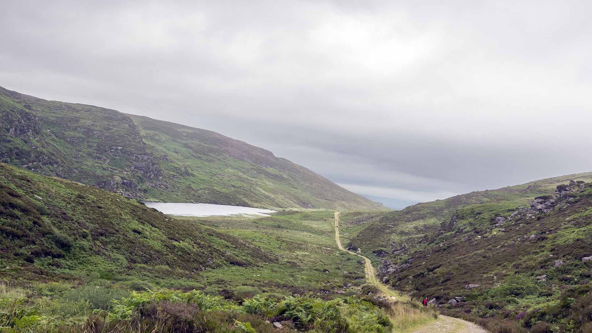 Duhallow Trail