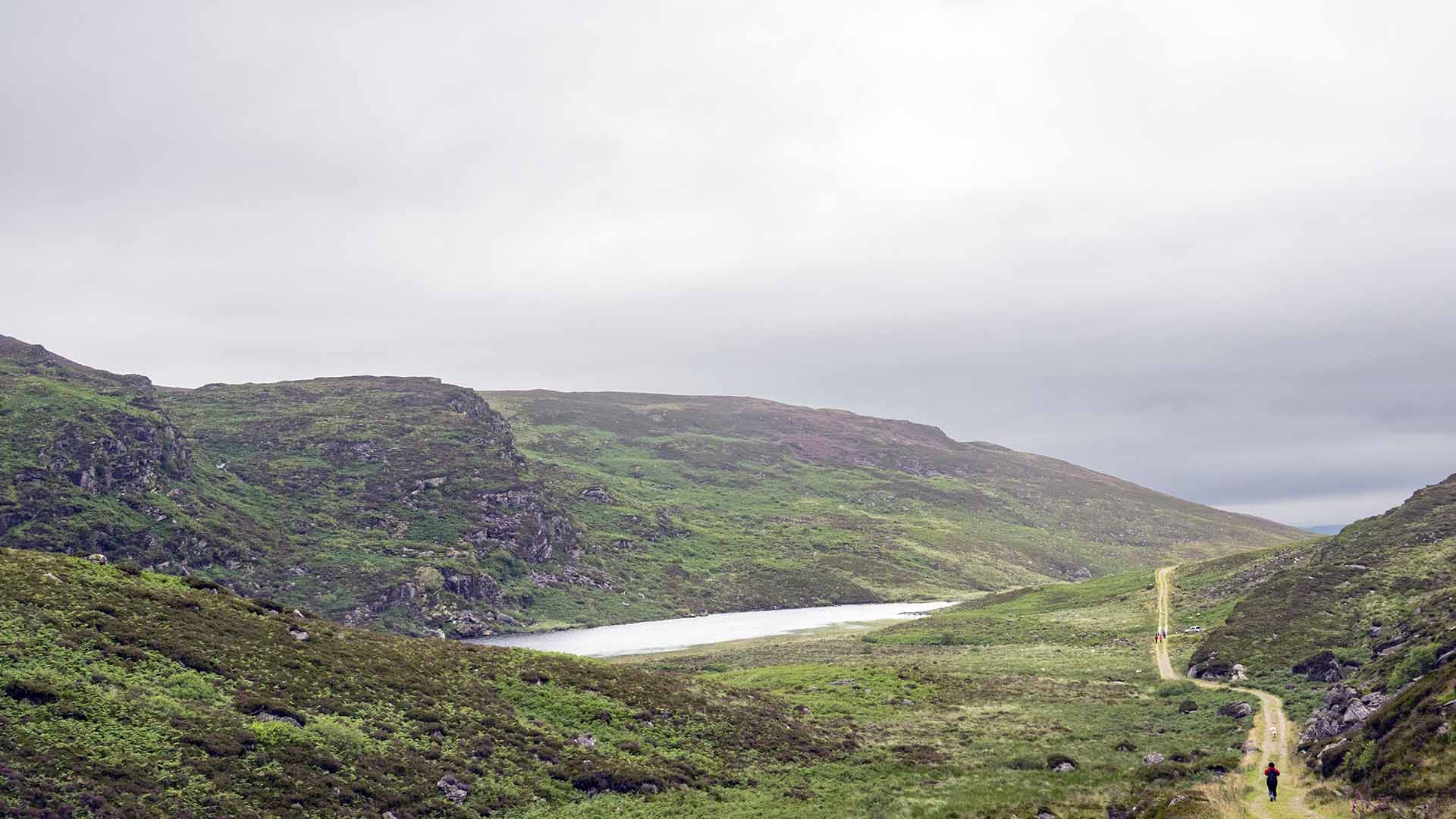 Duhallow Trail