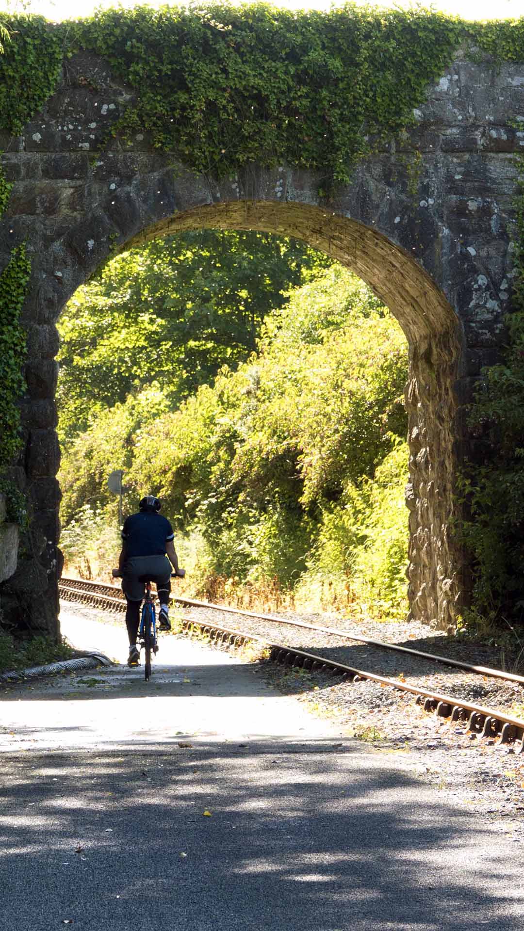 a person riding a bicycle under a bridge